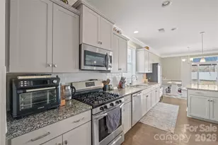 2358 Red Birch Way, Concord, NC 28027 - Photo 9