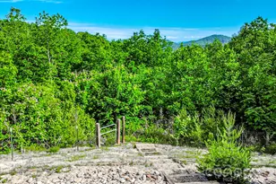 485 Mountain Lookout Dr, Bostic, NC 28018 - Photo 43