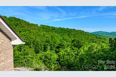 485 Mountain Lookout Drive, Bostic, NC 28018 - Photo 47