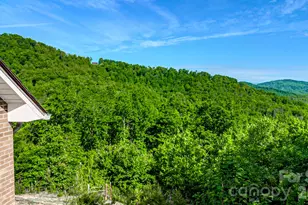 485 Mountain Lookout Dr, Bostic, NC 28018 - Photo 47