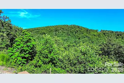 485 Mountain Lookout Drive, Bostic, NC 28018 - Photo 31