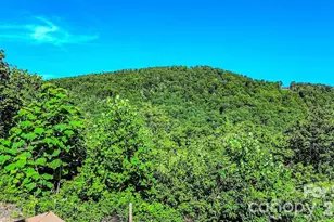 485 Mountain Lookout Dr, Bostic, NC 28018 - Photo 31