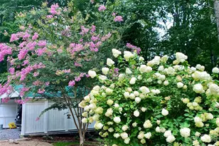 109 Paradise Cir, Clyde, NC 28721 - Photo 41