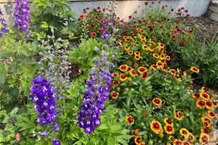 109 Paradise Cir, Clyde, NC 28721 - Photo 37