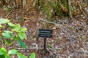 3739 Pickens Hwy, Rosman, NC 28772 - Photo 43