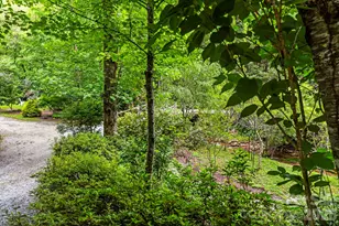 3739 Pickens Hwy, Rosman, NC 28772 - Photo 37