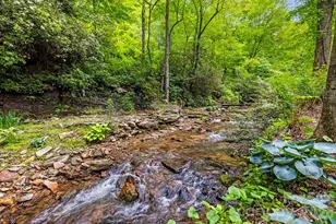 3739 Pickens Hwy, Rosman, NC 28772 - Photo 31