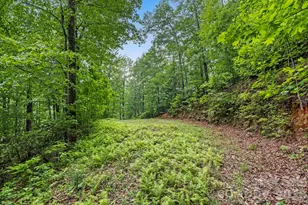 3739 Pickens Hwy, Rosman, NC 28772 - Photo 45