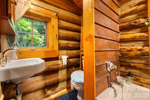 3739 Pickens Hwy, Rosman, NC 28772 - Photo 19