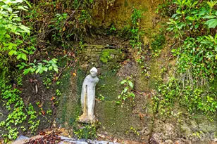 3739 Pickens Hwy, Rosman, NC 28772 - Photo 33