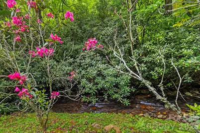 3739 Pickens Highway, Rosman, NC 28772 - Photo 35