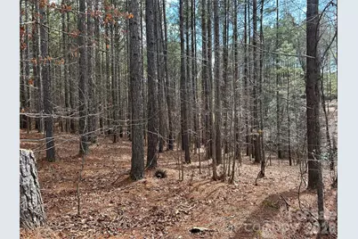 115 Water Oak Way, Mount Gilead, NC 27306 - Photo 5