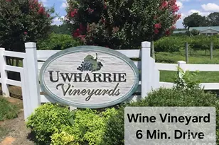 911 Hill St, Albemarle, NC 28001 - Photo 17