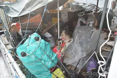 47 Eastover Drive, Asheville, NC 28806 - Photo 11