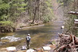 940 Winding Creek Rd, Sapphire, NC 28774 - Photo 45