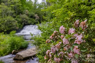 940 Winding Creek Rd, Sapphire, NC 28774 - Photo 43