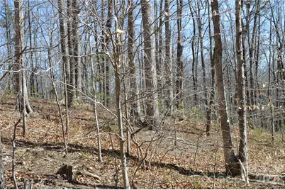 00 Shadow Creek Lane, Columbus, NC 28722 - Photo 19