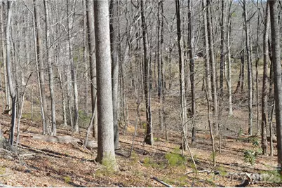 00 Shadow Creek Lane, Columbus, NC 28722 - Photo 9