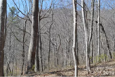 00 Shadow Creek Lane, Columbus, NC 28722 - Photo 7