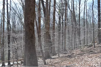 00 Shadow Creek Lane, Columbus, NC 28722 - Photo 5