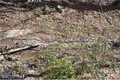 00 Shadow Creek Lane, Columbus, NC 28722 - Photo 3