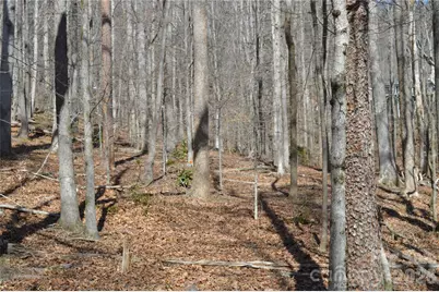 00 Shadow Creek Lane, Columbus, NC 28722 - Photo 15