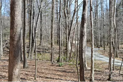 00 Shadow Creek Lane, Columbus, NC 28722 - Photo 13