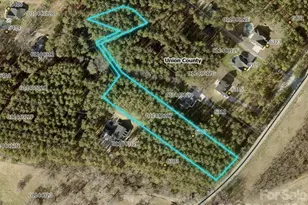 6307 Hwy 205 Hwy, Marshville, NC 28103 - Photo 1