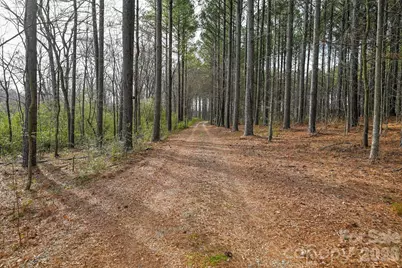 6303 Highway 205 Road, Marshville, NC 28103 - Photo 11
