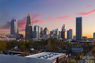 715 N Graham St, Charlotte, NC 28202 - Photo 41