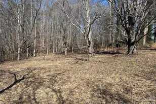 859 Stacy Hill Rd, Nebo, NC 28761 - Photo 23