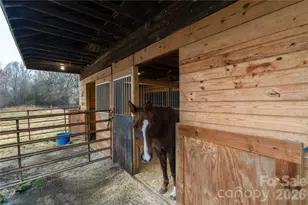 6507 Frieden Church Rd, Gibsonville, NC 27249 - Photo 7