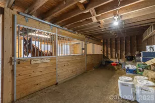 6507 Frieden Church Rd, Gibsonville, NC 27249 - Photo 9