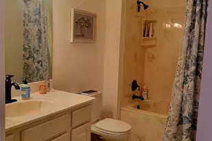 113 Chancery Ct, Flat Rock, NC 28731 - Photo 17