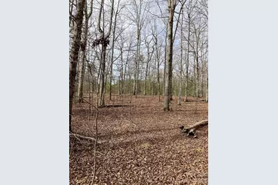 Lot 7A Springbrook Court, Columbus, NC 28722 - Photo 1