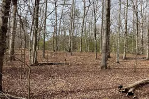 Lot 7A Springbrook Ct, Columbus, NC 28722 - Photo 1