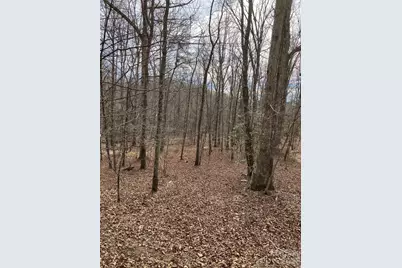 Lot 7A Springbrook Court, Columbus, NC 28722 - Photo 3