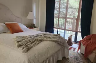 36 Ravencroft Ln, Asheville, NC 28803 - Photo 19