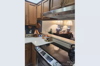 36 Ravencroft Lane, Asheville, NC 28803 - Photo 5