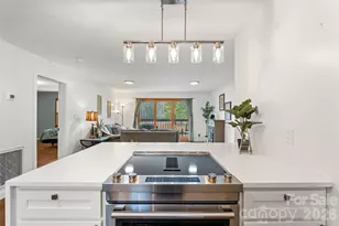 11014 Nc 80 Hwy S, Burnsville, NC 28714 - Photo 7