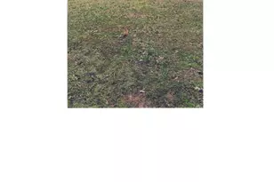 3968 Kiser Island Rd, Terrell, NC 28682 - Photo 1