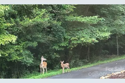 150 Revonda Drive, Nebo, NC 28761 - Photo 25