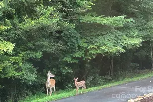 150 Revonda Dr, Nebo, NC 28761 - Photo 25