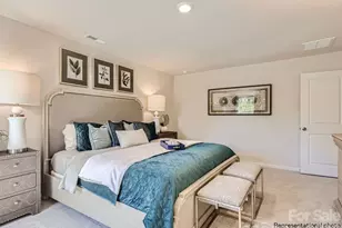 133 Spotted Wy, Troutman, NC 28166 - Photo 15