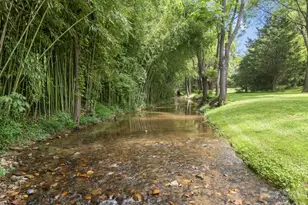 11 Stuart Cir, Asheville, NC 28804 - Photo 35