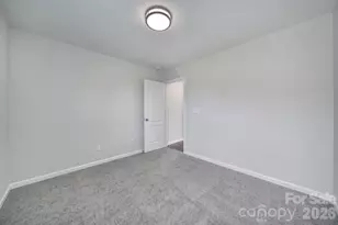 1541 Spring Blossom Trail, Fort Mill, SC 29708 - Photo 35