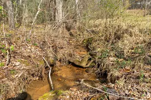 5005 Rocky Ridge Rd, Connelly Springs, NC 28612 - Photo 23