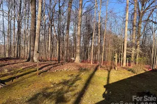 121 Shady Ln, Troutman, NC 28166 - Photo 19