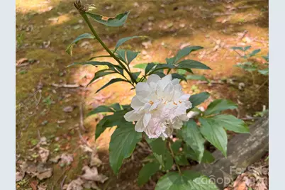 121 Shady Lane, Troutman, NC 28166 - Photo 29