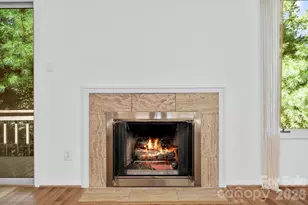 101 Deerlake Dr, Asheville, NC 28803 - Photo 11